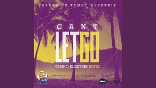 Cant Let Go Faydee Vs Tempo Elektrik Radio Edit [upl. by Gweneth]