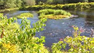 Sheepscot River Canoe Trip Below the Dam to the Bend [upl. by Aicened611]