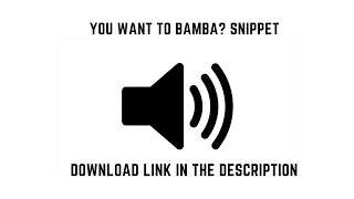 You Want To Bamba You Wana Chill With The Big Boys   Snippet [upl. by Eentrok330]