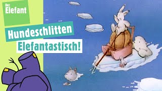 Der kleine Eisbär und das Hundeschlittenrennen amp Rätselfilm Brille Der Elefant  WDR [upl. by Aneehsit576]