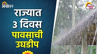 Maharashtra Rain Alert विदर्भात सोमवारी पुन्हा पाऊस वाढण्याचा अंदाज  Agrowon [upl. by Carlen]