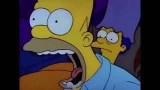 Homer Scream [upl. by Ayekam]