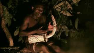 Baka Pygmy traditional song  Chant traditionnel Pygmée Baka [upl. by Junie406]