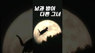 낮과 밤이 다른 그녀 OST  떳다 그녀 원곡 [upl. by Gutow]