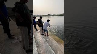 fishcutting fishing fishingvideo fishinglife fish [upl. by Sussi668]