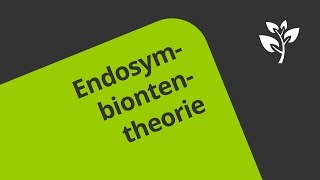 Die Endosymbiontentheorie Wie Chloroplasten und Mitochondrien entstanden sind  Biologie [upl. by Clava488]