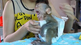 Monkey Baby Donal Cry Not Want Ware Diaper After Bath [upl. by Nirra]