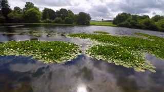 Curraghmore Portlaw Co Waterford [upl. by Cedric979]