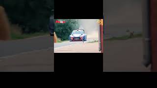 Look 👀🚀🏎️best rallying scenes cars automobile shortvideo shorts short shortvideo trending [upl. by Aneetak243]