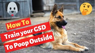 German Shepherd Poop Training  Effective GSD Potty Training Tips [upl. by Murtagh]