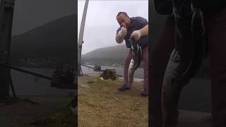 mackerel fishing arrochar loch long off the mod pier 2024 [upl. by Esorlatsyrc]