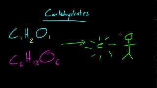 Biology Lecture  7  Carbohydrates [upl. by Anaderol495]