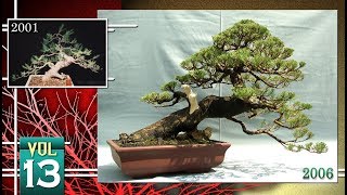 Bonsai Tutorial amp Demo 13 by Tedy Boy Bonsai of Indonesia [upl. by Hett]