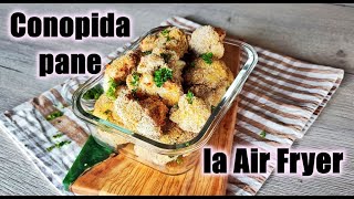 CONOPIDA PANE LA AIR FRYER [upl. by Retloc]