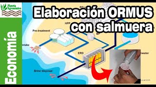 ¿Se puede usar la 🌊 SALMUERA para producir 🌱 ORMUS a gran escala [upl. by Tripp]