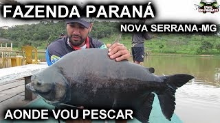 AONDE VOU PESCAR  FAZENDA PARANÁ  FINAL DE PESCARIA [upl. by Ttihw]