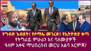 የግብጽ እብደት፤ የሶማሌ መገረድ፤ የኢትዮጵያ ቁጣ የትግራይ ምሁራን እና ባለሙያዎች መርህ አልባ እርምጃEgyptTurkeyEthiopiaUSAEU [upl. by Scheers]