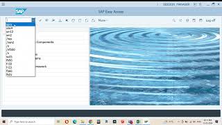 Webinar  SAP Fi [upl. by Eben]