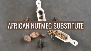 How to Make a Calabash Nutmeg Substitute [upl. by Aleka]