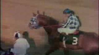 SECRETARIAT  1973 Preakness Stakes Recap [upl. by Lyrak]