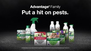 Put a Hit on Pet Parasites with the Advantage® Family [upl. by Eirallih]