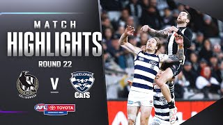 Collingwood v Geelong Highlights  Round 22 2023 [upl. by Llerrud181]