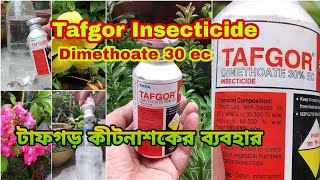 Tafgor insecticide।। Dimethoate 30 ec।। Tafgor kitnashak use।। টাফগড় কীটনাশকের ব্যবহার পদ্ধতি।। [upl. by Eindys32]