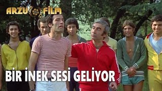 Bir İnek Sesi Geliyor  Hababam Sınıfı Uyanıyor [upl. by Adikam]