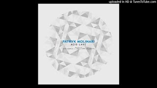 Patryk Molinari  Acid Lake [upl. by Notsud]