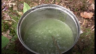 SuperTasty Nettle Soup Foraging Ingredients Cooking Eating [upl. by Genvieve]