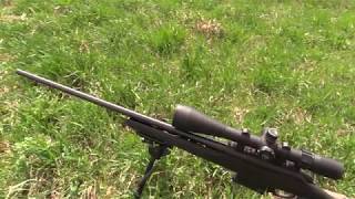 65 Creedmoor Long Range Groundhogs  725 Yard Hit [upl. by Hnahk]