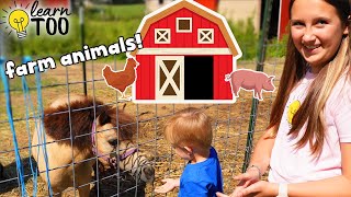 Farm Animals  Learn About Farm Animals for Kids  Farm Animals for Toddlers  Chickens Goats Horses [upl. by Georgiana]