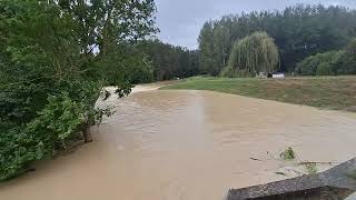 Überschwemmung Strassensperre Wasenbruck Mannersdorf am Leithagebirge [upl. by Nedrud]