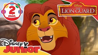 The Lion King ziras story [upl. by Sello]