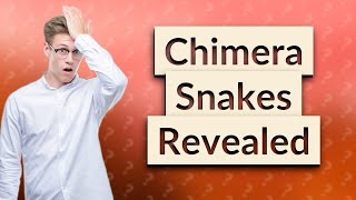 What is a chimera snake [upl. by Fachan58]