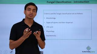 Class 11th – Fungi Classification – Introduction  Biological Classification  Tutorials Point [upl. by Callery]