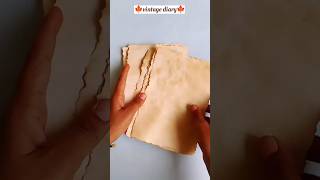 🍁vintage diary 🍁 diy mini diary  diy easycarft diycraftideas viral art [upl. by Esta767]