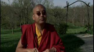 Yongey Mingyur Rinpoche on Western Culture [upl. by Amzaj]