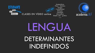 Los determinantes indefinidos  Lengua Española análisis morfológico  academia JAF [upl. by Ahcarb179]