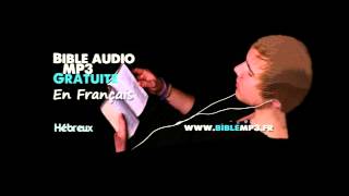 Bible audio  Epître aux Hébreux  Bible MP3 en Français [upl. by Edurtreg]