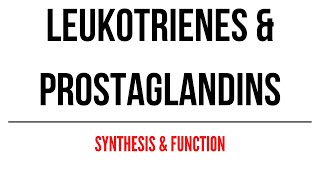 Leukotrienes amp Prostaglandins Synthesis and Function [upl. by As]