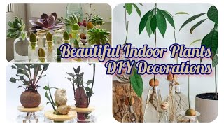 Stunning DIY Indoor Plants Must Have to Infuse Your Home with the Beauty of Nature  Cute Home Decor [upl. by Dahcir513]