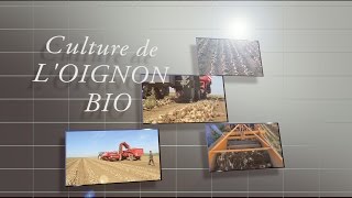 Culture de loignon Bio [upl. by Zel]