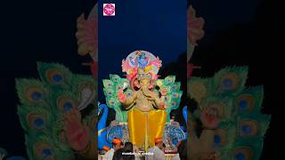 Manjalpurancha Raja Vadodara 2024🙏ganpati vadodara sorts aagmansohala [upl. by Lerej]