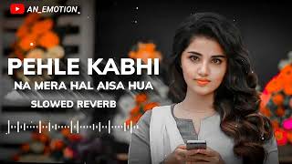 Pehle Kabhi Na Mera Haal Aisa Hua Full Song Lyrics FromBaghban Slowed Reverb ANEMOTION [upl. by Farrish]