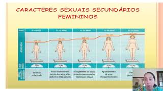 Puberdade masculina e feminina  Características sexuais secundárias 8º ano [upl. by Nnylrebma]