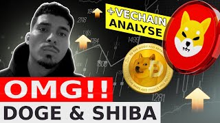 DOGECOIN amp SHIBA INU OMG 🚨 Vechain VET Analyse DOGE Preis Prognose Deutsch [upl. by Googins268]