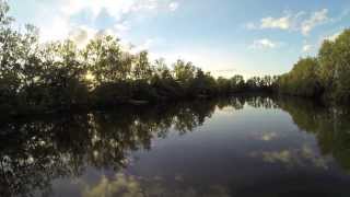 Inflight at Old Oaks Carp France [upl. by Kotz609]