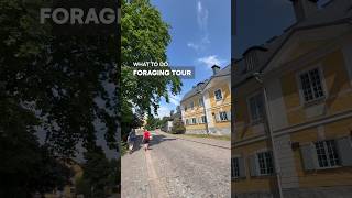 What to Do in Porvoo  Finland  Foraging Tour [upl. by Nerb438]