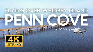 Whidbey Island Drone  Penn Cove [upl. by Karlotta]